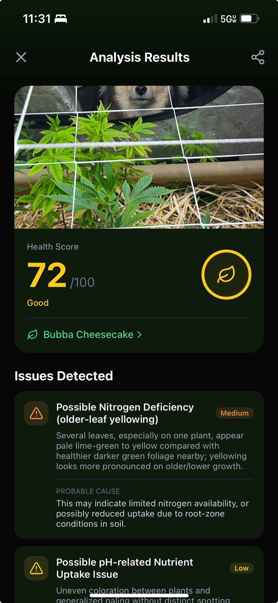 Issue Detection view